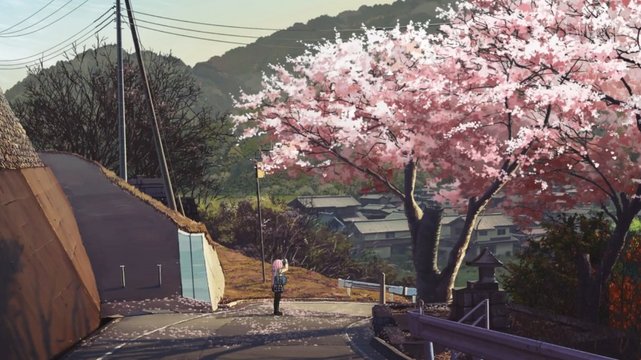 Cherry blossom tree in front of Motosu High School